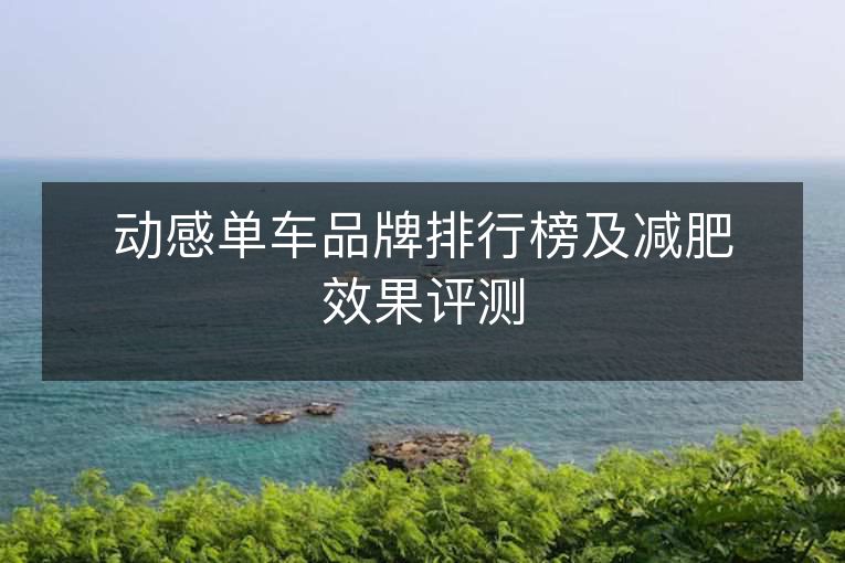 动感单车品牌排行榜及减肥效果评测 动感单车品牌排行榜及减肥效果评测