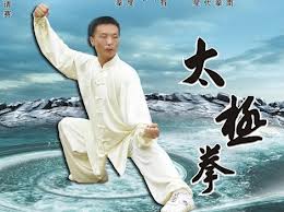 《杨式太极扇》杨丽73式杨式太极扇完整演练(双VCD视频)